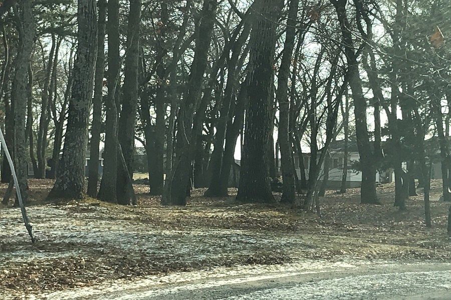 1st image of 17401 County Road 612