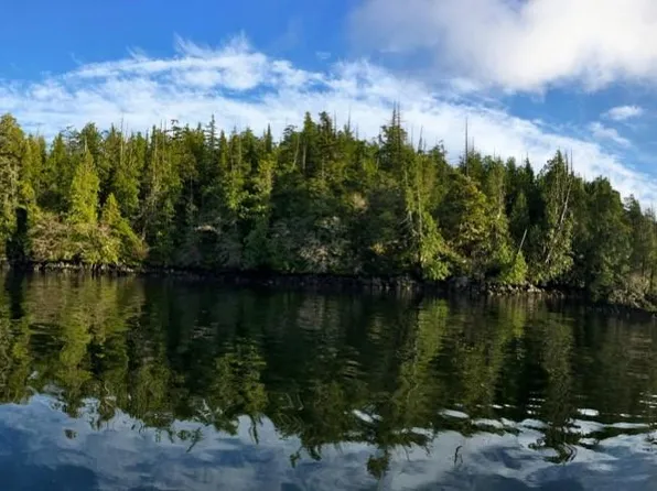 28 Hot Spgs, Tofino, BC V0R 2Z0