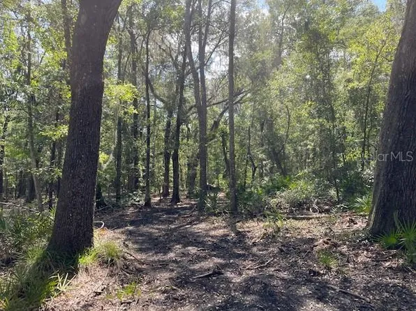 TBD PINE TREE LANE LOT 15, MELROSE, FL 32666