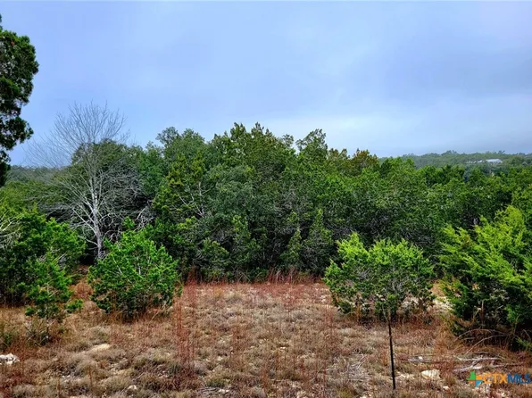 193 Appaloosa Dr, Fischer, TX 78623