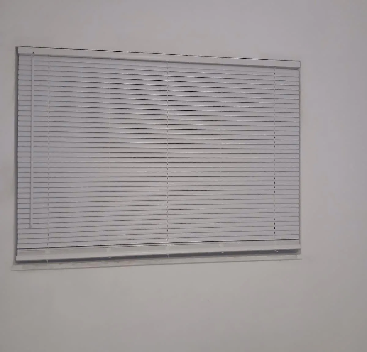 2 bed, 900 sqft, $1,000 — Photo 3