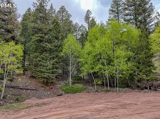 918 Pinon Ln, Florissant, CO 80816