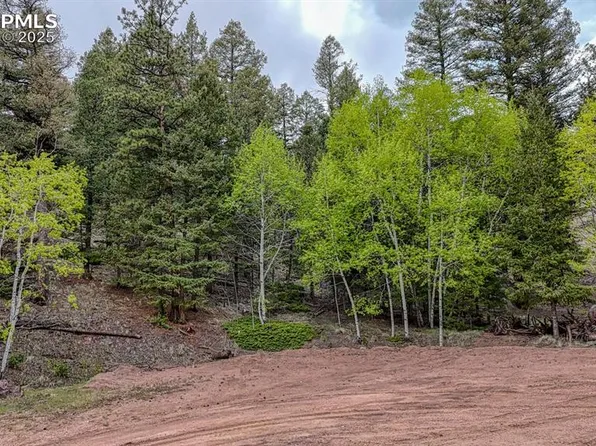 918 Pinon Ln, Florissant, CO 80816