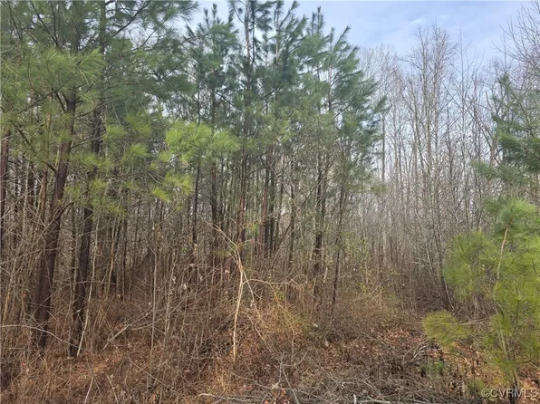 16420 Pinecote Lowmoor Ln, Beaverdam, VA 23015