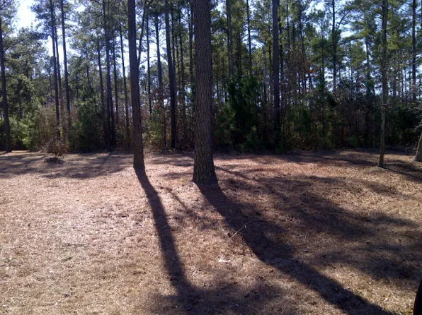 600 Carla Ann Dr, Pikeville, NC 27863