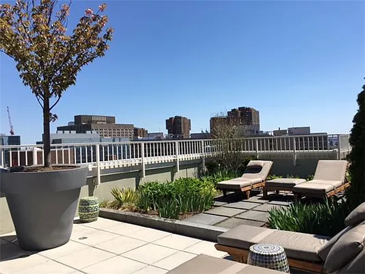 Rented by City Sense Realty | media 13