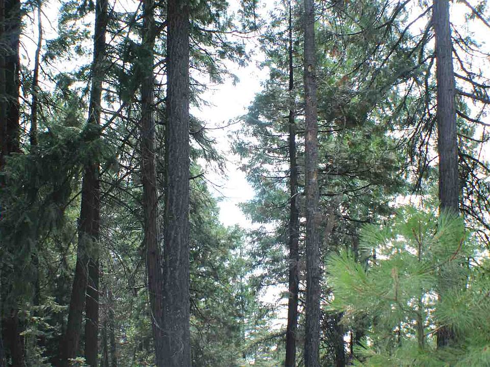 2nd image of 779 Lassen View Dr