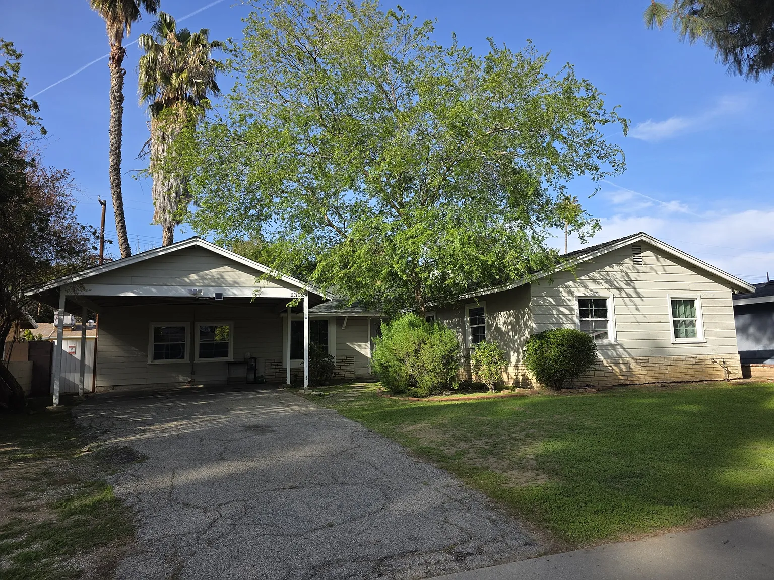 23029 Runnymede St — Photo 1