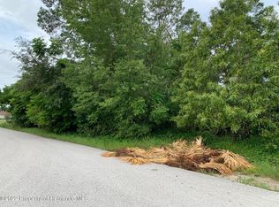 0 Hoffman Ave, Spring Hill, FL 34606