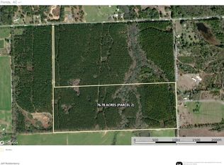 0 County Highway 147 Lot Wp001, Laurel Hill, FL 32567