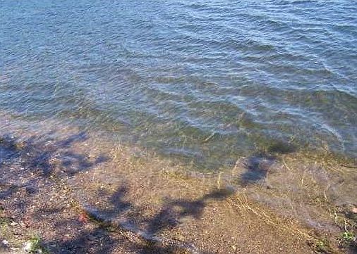 4th image of 7376 N Fishtrap Lake Road