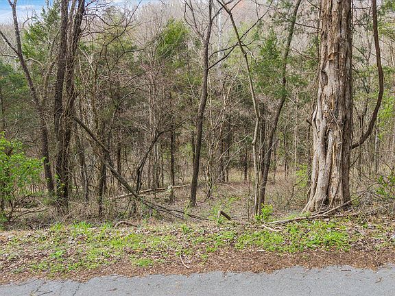 4th image of 0 Lewis Rd