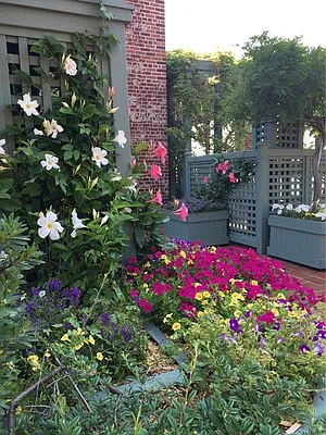 Rented by Weichert Properties - NYC | media 5