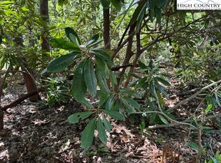 110 Pond Creek Ln, Banner Elk, NC 28604