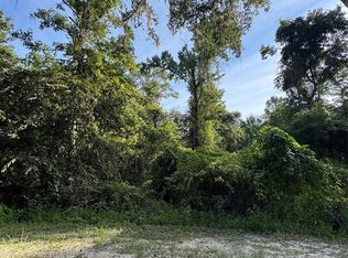 Barth Rd LOT 59, Dade City, FL 33523