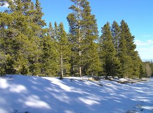 1771 Venture Rd, Fairplay, CO 80440