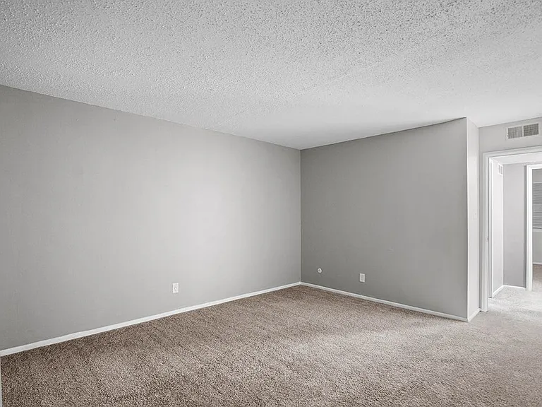 Carpeted Interiors