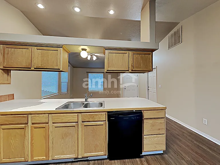 1205 Gold Creek Dr — Photo 4