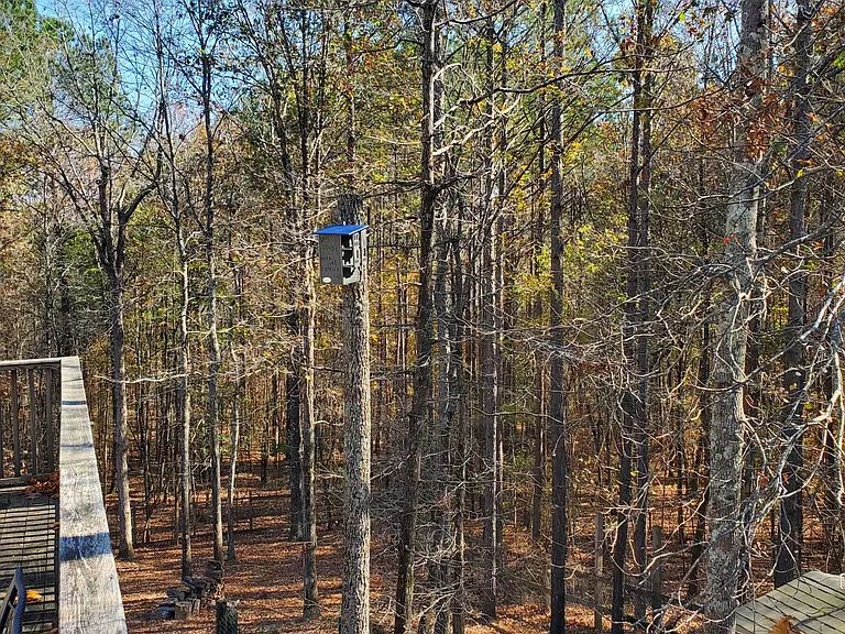 30 County Road 277 — Photo 13