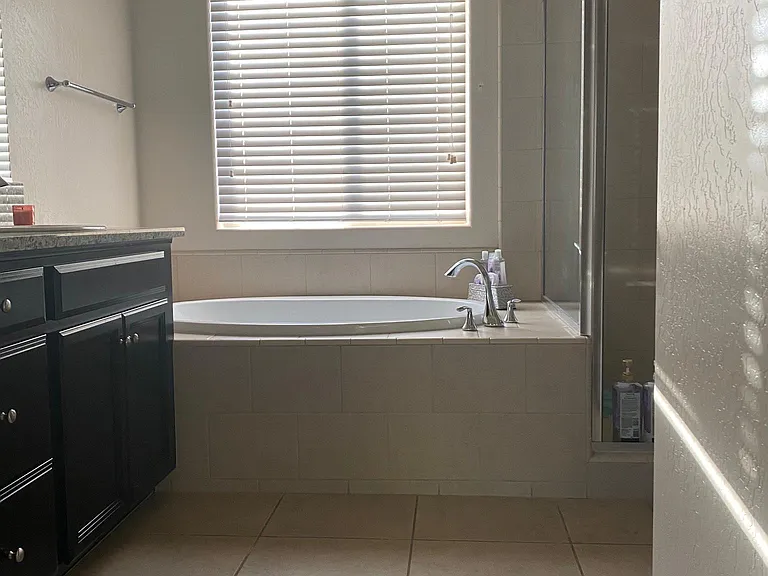 Master room tub