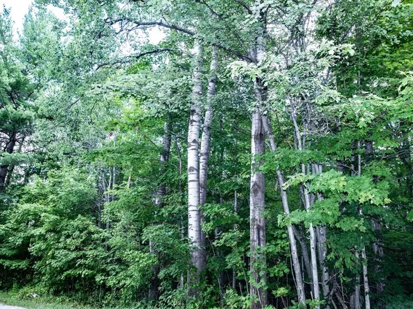00 Okemo Acres Road, Ludlow, VT 05149