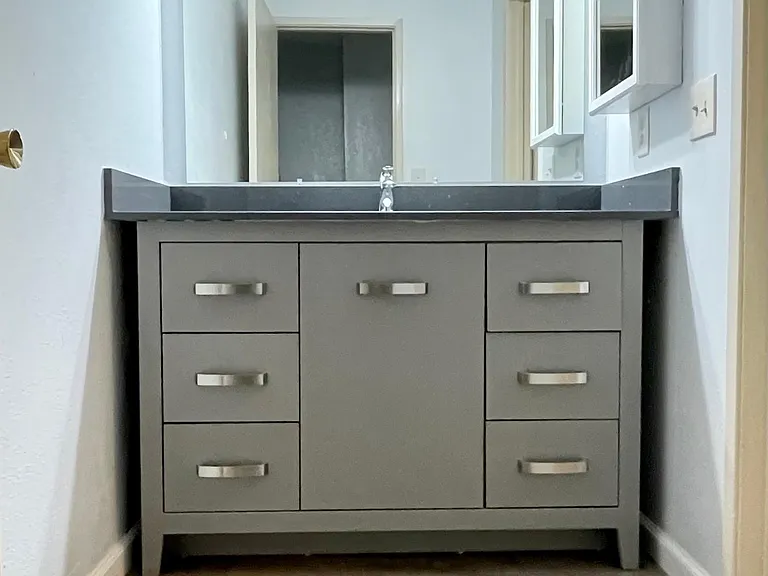 Shared Bath - Modern Vanity quartz countertop