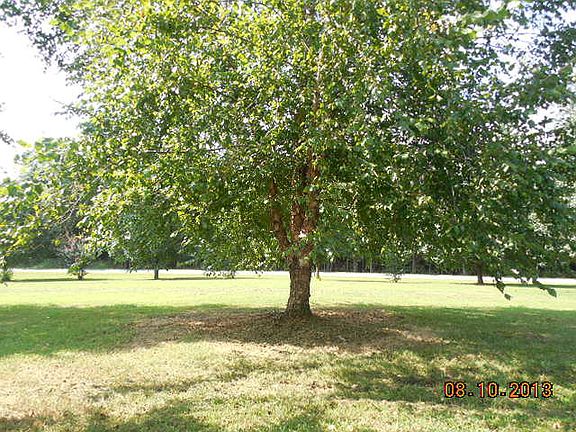 2nd image of 724 Wilson Creek Ln