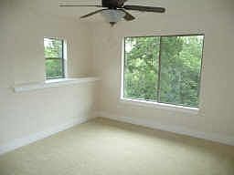 treetop views from bedrooms