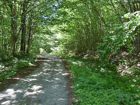 4th image of MSO3 L16 Flow Road