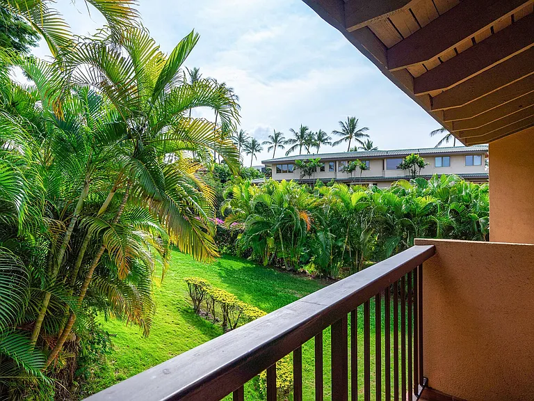 Wailea Alanui Dr — Photo 21