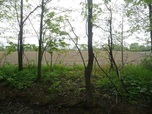 1st image of 0 Nichols Ln Lot 2
