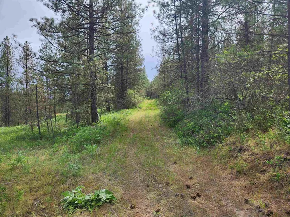 6269 Miller Mountain Rd, Fruitland, WA 99129