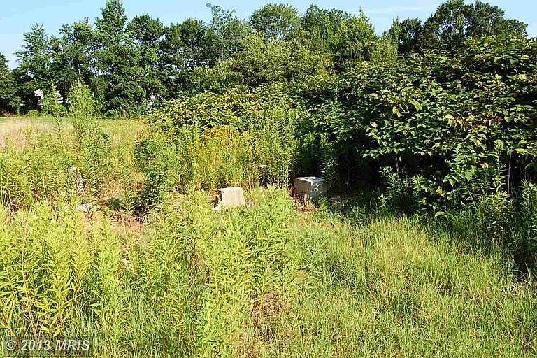 2nd image of 10525 Cooktown Rd