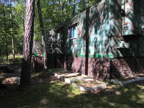 Hinkle Mountain Rd #38, Petersburg, WV 26847