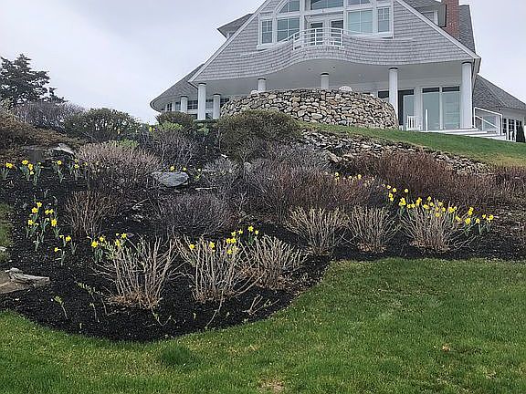 Ocean Side in the spring