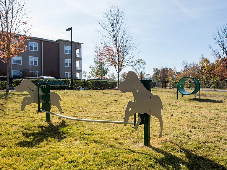 Cortland University City — Photo 15