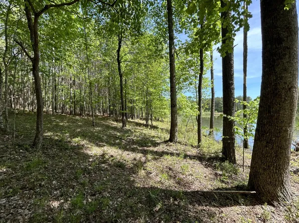 290 Bear Trace Dr Lot Rb 201, Jasper, TN 37347