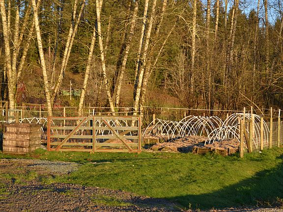 Garden area -raised beds