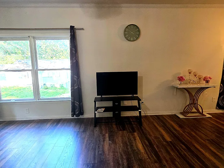 Shared space - spacious living room with couches, TV, coffee table, sofa bed and dining table