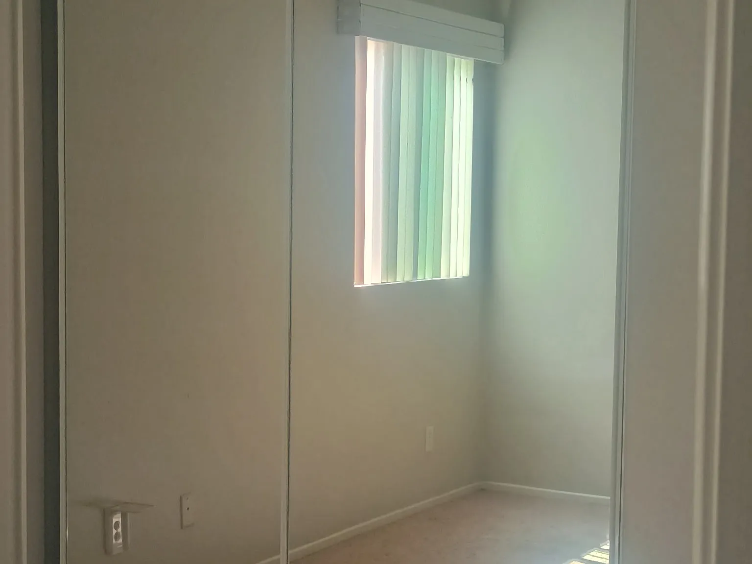 29093 Coriander Ct — Photo 2