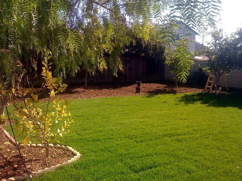 New Park Like Landscaping