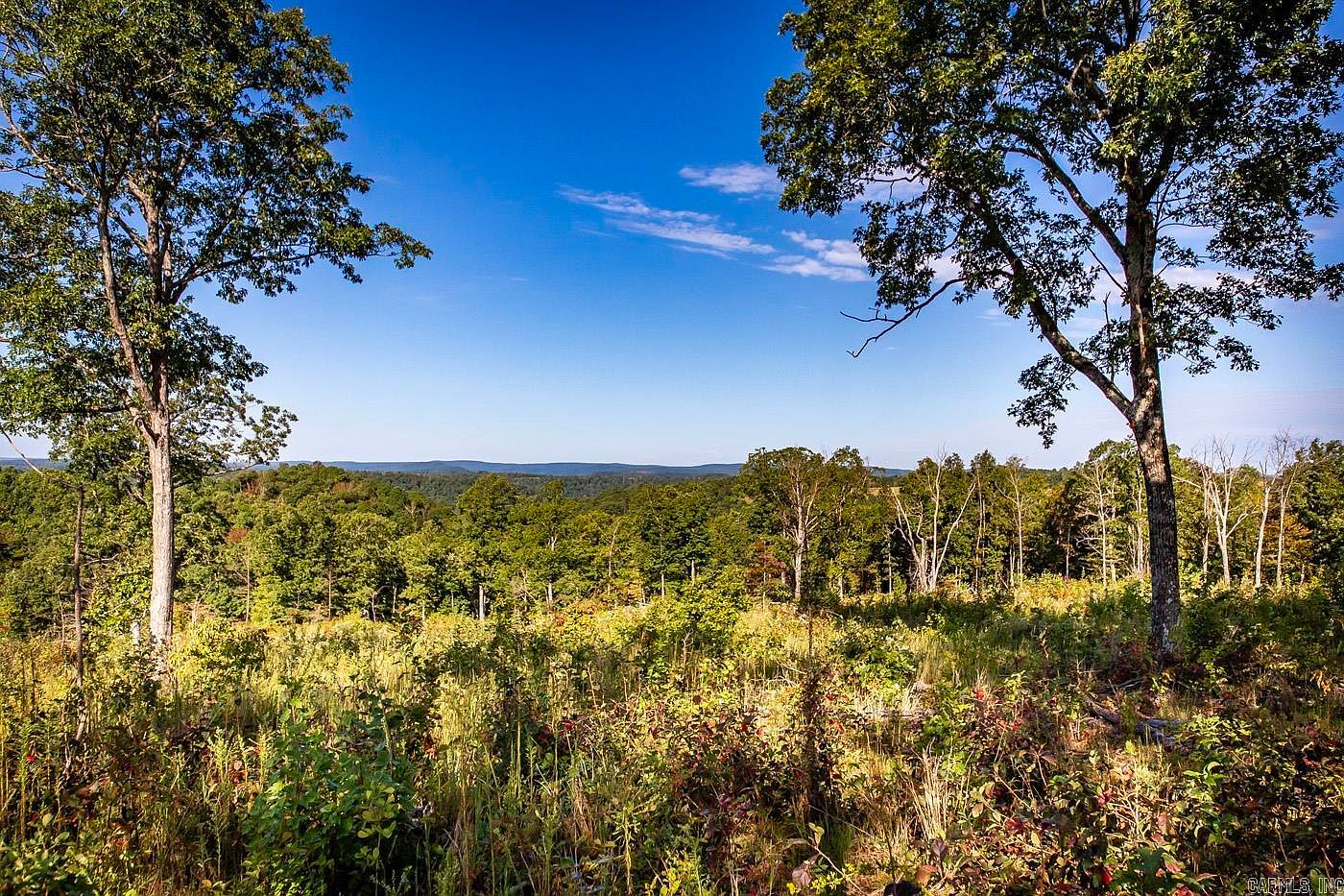 10189 Highway 377, Witts Springs, AR 72686 MLS 23030934 Zillow