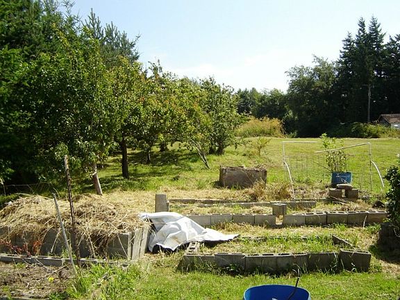 Garden beds, with fruit trees, apples, peaches, plums and apricots