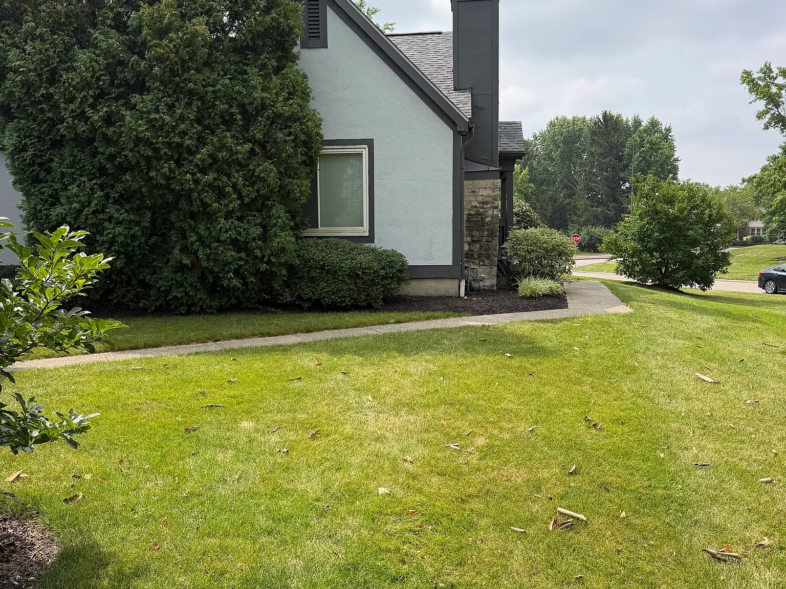 2 bed, 1411 sqft, $2,250 — Photo 3