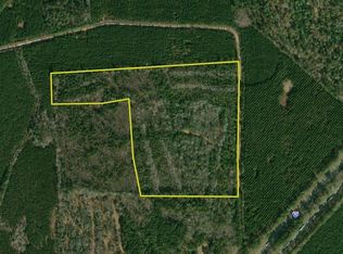 Cummings Rd LOT WP001, Manning, SC 29102