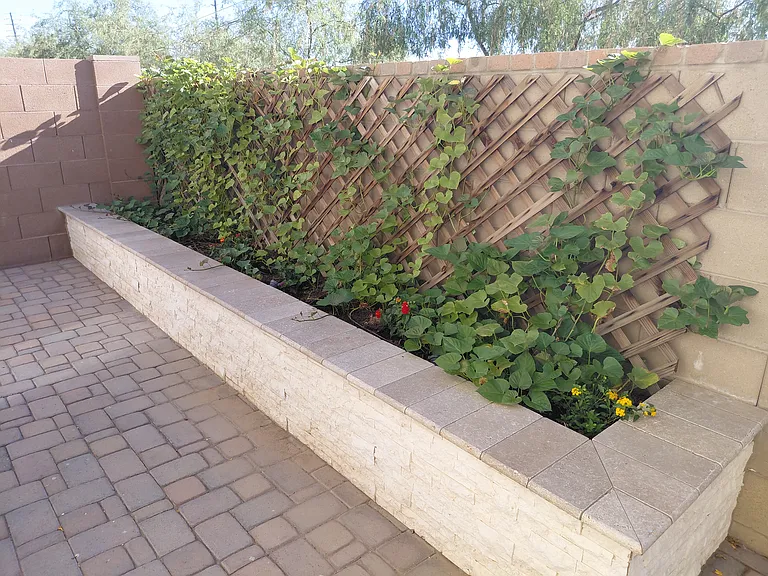 Planter alternate view
