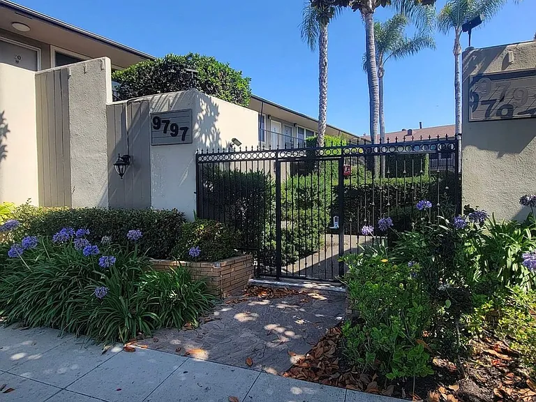 n9797 — Photo 20
