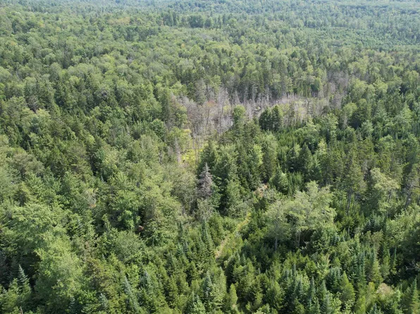 Gifford Hill Road, Grafton, NH 03240