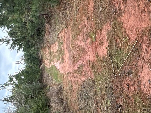 3rd image of Township Road 14 Hwy #21E