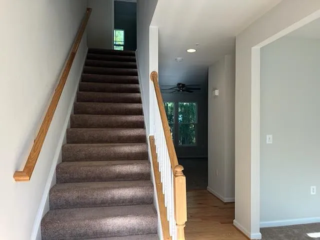 12103 Pimlico Ln — Photo 11